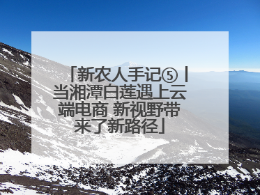 新农人手记⑤丨当湘潭白莲遇上云端电商 新视野带来了新路径