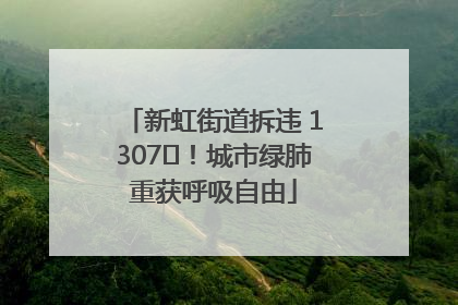 新虹街道拆违 1307㎡！城市绿肺重获呼吸自由