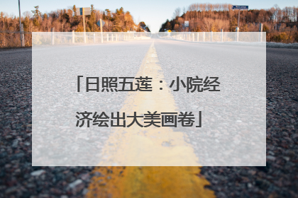 日照五莲：小院经济绘出大美画卷
