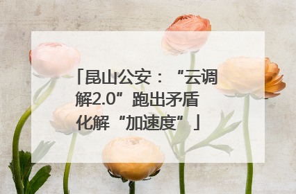昆山公安：“云调解2.0”跑出矛盾化解“加速度”