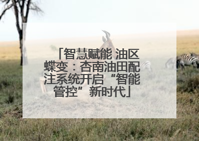 智慧赋能 油区蝶变：杏南油田配注系统开启“智能管控”新时代