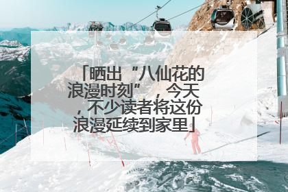 晒出“八仙花的浪漫时刻”，今天，不少读者将这份浪漫延续到家里