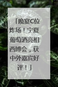 晚宴C位炸场！宁夏葡萄酒亮相西博会，获中外嘉宾好评！