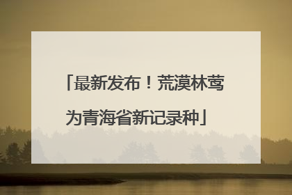 最新发布！荒漠林莺为青海省新记录种
