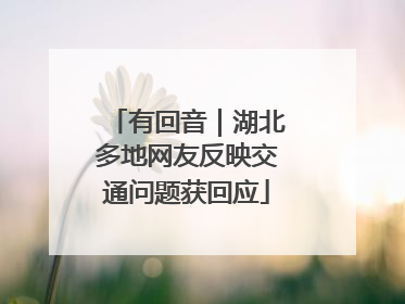 有回音｜湖北多地网友反映交通问题获回应