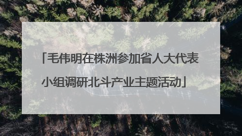 毛伟明在株洲参加省人大代表小组调研北斗产业主题活动