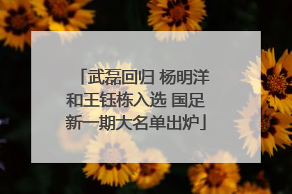 武磊回归 杨明洋和王钰栋入选 国足新一期大名单出炉