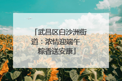 武昌区白沙洲街道：浓情迎端午 粽香送安康