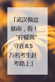 武汉倾盆暴雨，看！“柠檬黄”守在8.5万名考生赶考路上