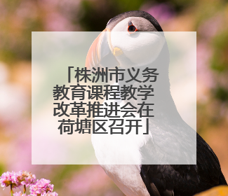 株洲市义务教育课程教学改革推进会在荷塘区召开