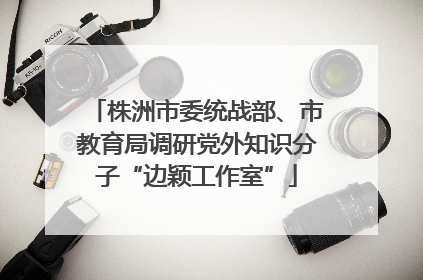 株洲市委统战部、市教育局调研党外知识分子“边颖工作室”