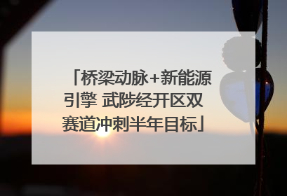 桥梁动脉+新能源引擎 武陟经开区双赛道冲刺半年目标