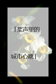桨声里的城市心跳