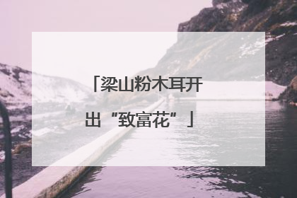 梁山粉木耳开出“致富花”