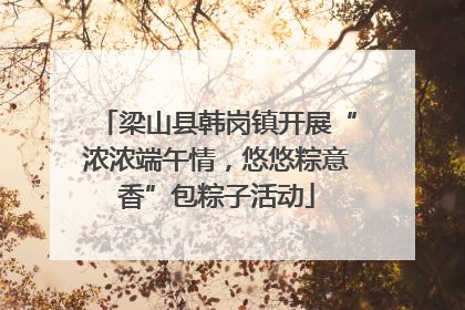 梁山县韩岗镇开展“浓浓端午情，悠悠粽意香”包粽子活动