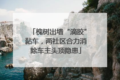 槐树出墙“滴胶”黏车，两社区合力消除车主头顶隐患