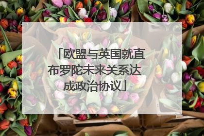 欧盟与英国就直布罗陀未来关系达成政治协议