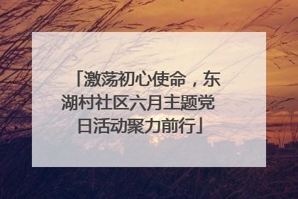激荡初心使命，东湖村社区六月主题党日活动聚力前行