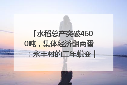 水稻总产突破4600吨，集体经济翻两番：永丰村的三年蜕变｜您牵挂的四川