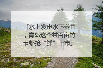 水上发电水下养鱼，青岛这个村百亩竹节虾抢“鲜”上市