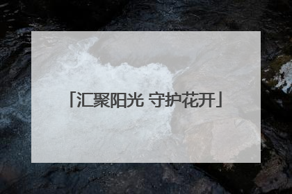 汇聚阳光 守护花开