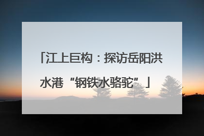 江上巨构：探访岳阳洪水港“钢铁水骆驼”