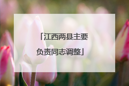 江西两县主要负责同志调整
