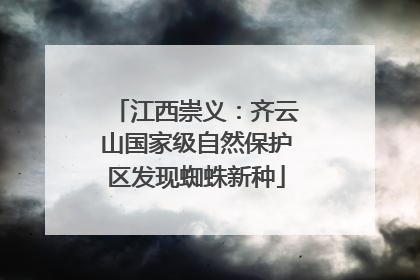 江西崇义：齐云山国家级自然保护区发现蜘蛛新种