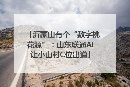沂蒙山有个“数字桃花源”：山东联通AI让小山村C位出道