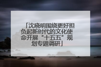 沈晓明围绕更好担负起新时代的文化使命开展“十五五”规划专题调研