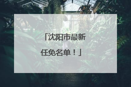 沈阳市最新任免名单！