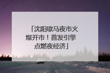 沈阳歇马夜市火爆开市！首发引擎点燃夜经济