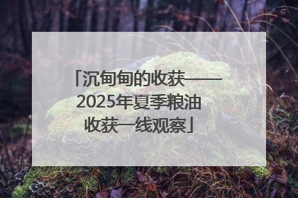 沉甸甸的收获——2025年夏季粮油收获一线观察