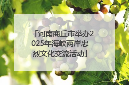 河南商丘市举办2025年海峡两岸忠烈文化交流活动