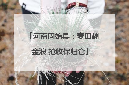 河南固始县：麦田翻金浪 抢收保归仓