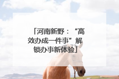 河南新野：“高效办成一件事”解锁办事新体验