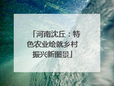 河南沈丘：特色农业绘就乡村振兴新图景