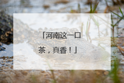 河南这一口茶，真香！