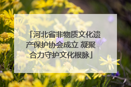 河北省非物质文化遗产保护协会成立 凝聚合力守护文化根脉