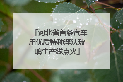 河北省首条汽车用优质特种浮法玻璃生产线点火