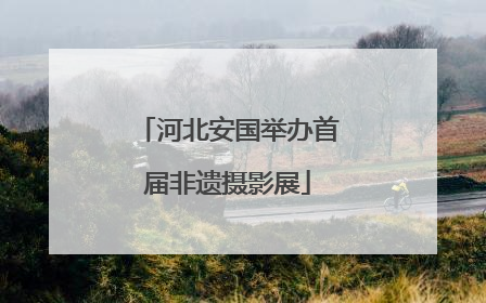 河北安国举办首届非遗摄影展