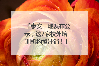 泰安一地发布公示，这7家校外培训机构拟注销！