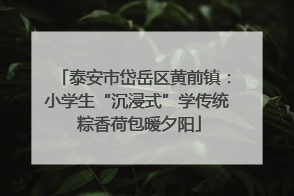 泰安市岱岳区黄前镇：小学生“沉浸式”学传统 粽香荷包暖夕阳