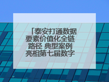 泰安打通数据要素价值化全链路径 典型案例亮相第七届数字中国建设峰会