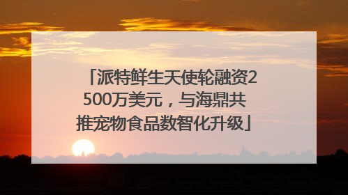 派特鲜生天使轮融资2500万美元，与海鼎共推宠物食品数智化升级