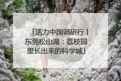 活力中国调研行丨东莞松山湖：荔枝园里长出来的科学城