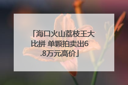 海口火山荔枝王大比拼 单颗拍卖出6.8万元高价