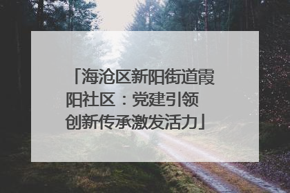 海沧区新阳街道霞阳社区：党建引领 创新传承激发活力