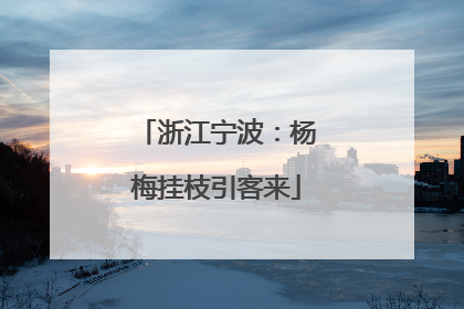 浙江宁波：杨梅挂枝引客来