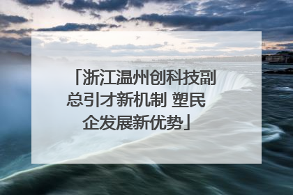 浙江温州创科技副总引才新机制 塑民企发展新优势